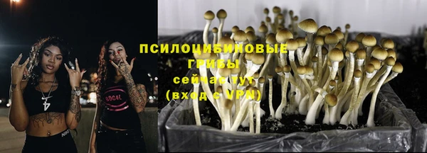 хмурый Богородицк